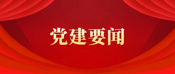 三峰卡萬(wàn)塔公司召開黨委會(huì)學(xué)習(xí)貫徹習(xí)近平總書記關(guān)于加強(qiáng)黨的作風(fēng)建設(shè)論述摘編和重要文章精神